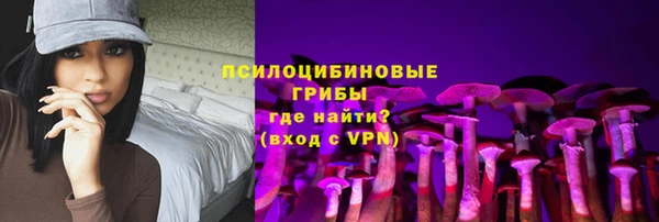 винт Новодвинск